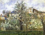 Vegetable Garden and Trees in Flower Spring Camille Pissarro